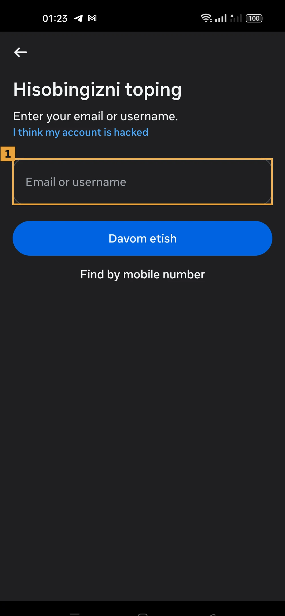 Instagram hisobni topish ekrani, kiritish maydoni belgilangan