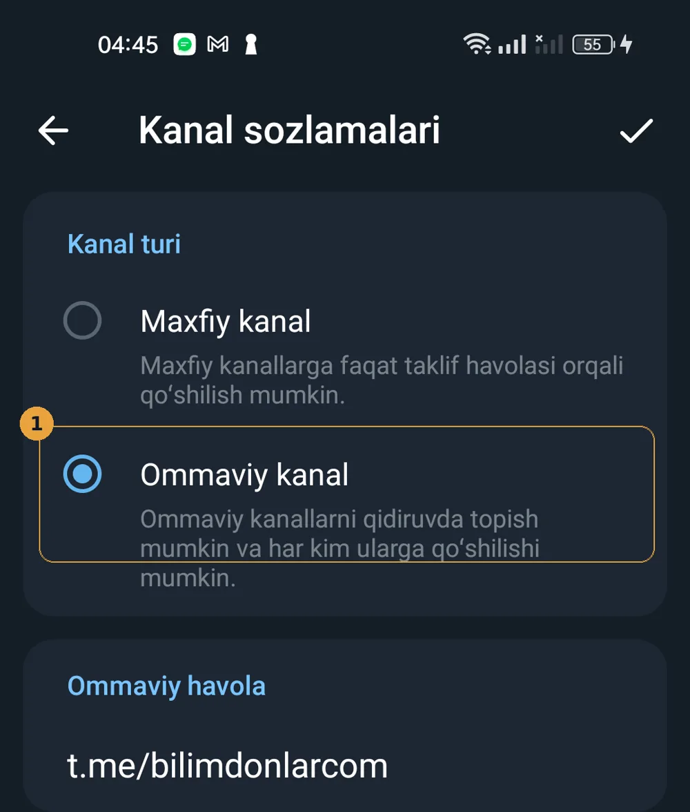 Telegram kanal turi ekrani, «Ommaviy kanal» tanlangan